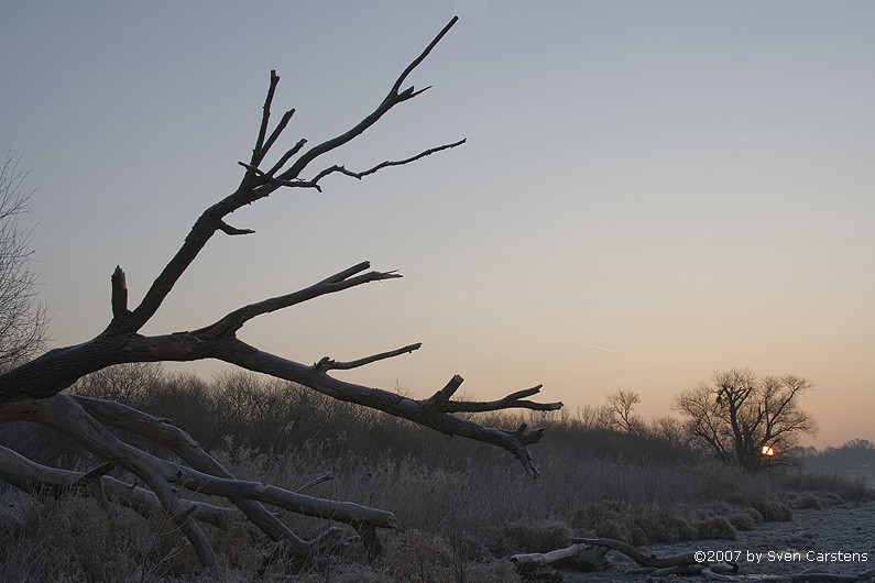 Sonnenaufgang in Friedrichshafen 04