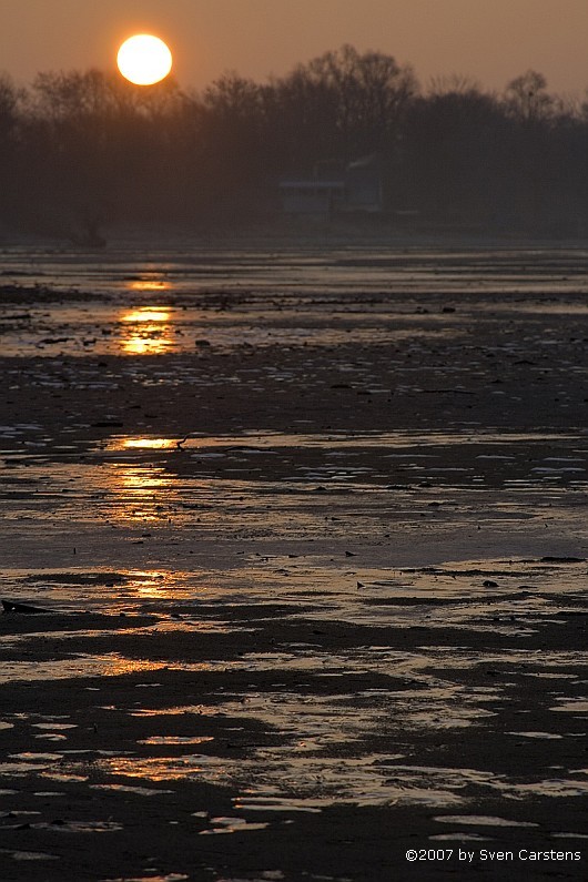 Sonnenaufgang in Friedrichshafen 08