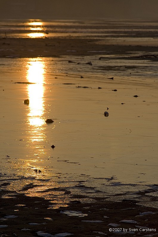 Sonnenaufgang in Friedrichshafen 10