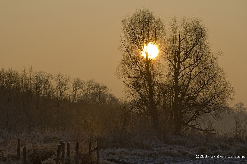 Sonnenaufgang in Friedrichshafen 11