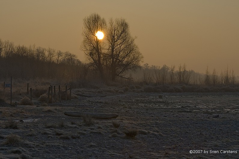Sonnenaufgang in Friedrichshafen 12
